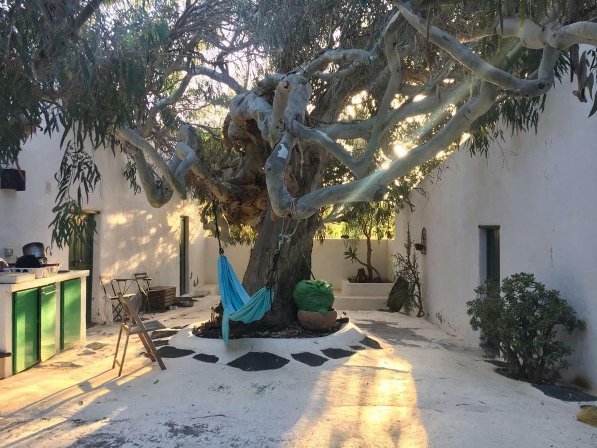 Patio II Studio At Finca La Asomada  ภายนอก รูปภาพ